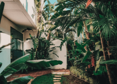 garden