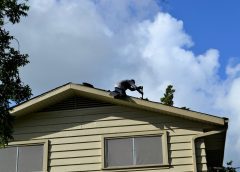 roofing