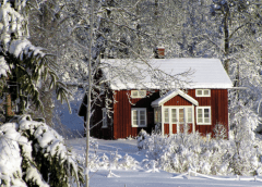 snow