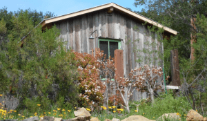 Hunting Cottage