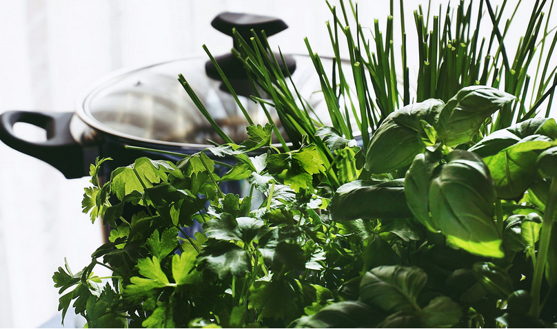 kitchen garden