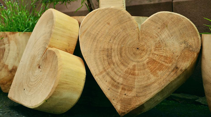 wood logs