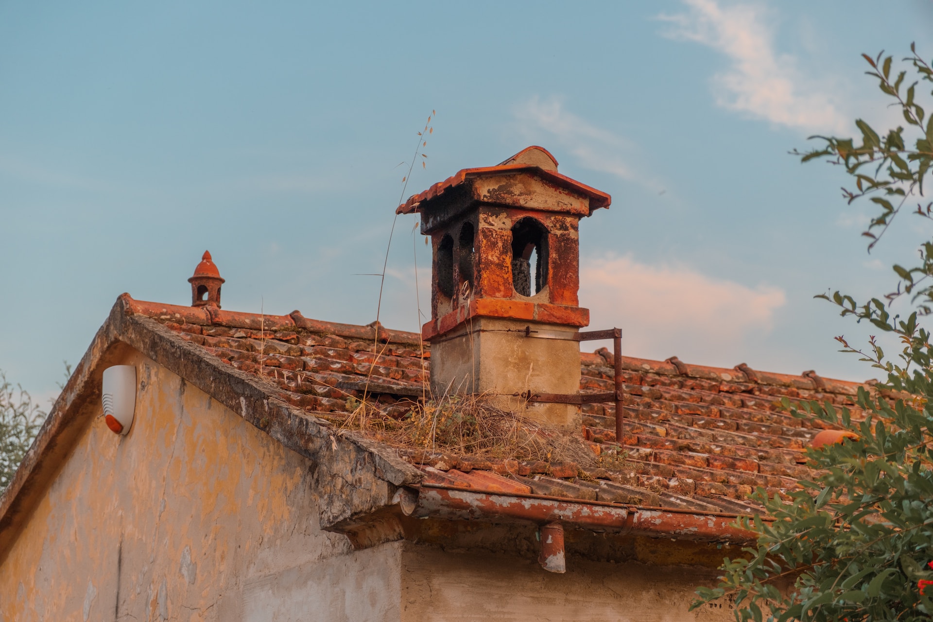 roof 